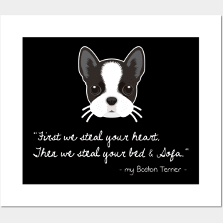 Boston Terrier Owner Pet Dog Animal Lover Gift Ideas - First We Steal Your Heart Then We Steal Your Bed And Sofa Posters and Art